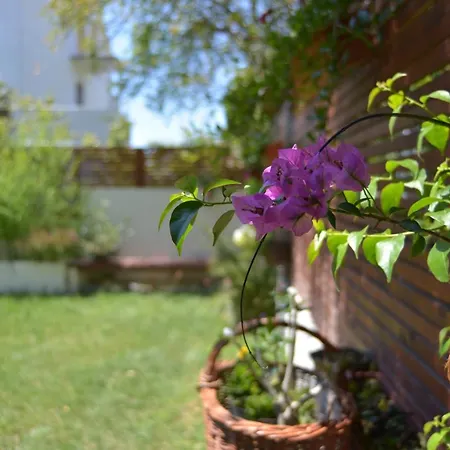 דירה By The Sea Kasalo With Garden